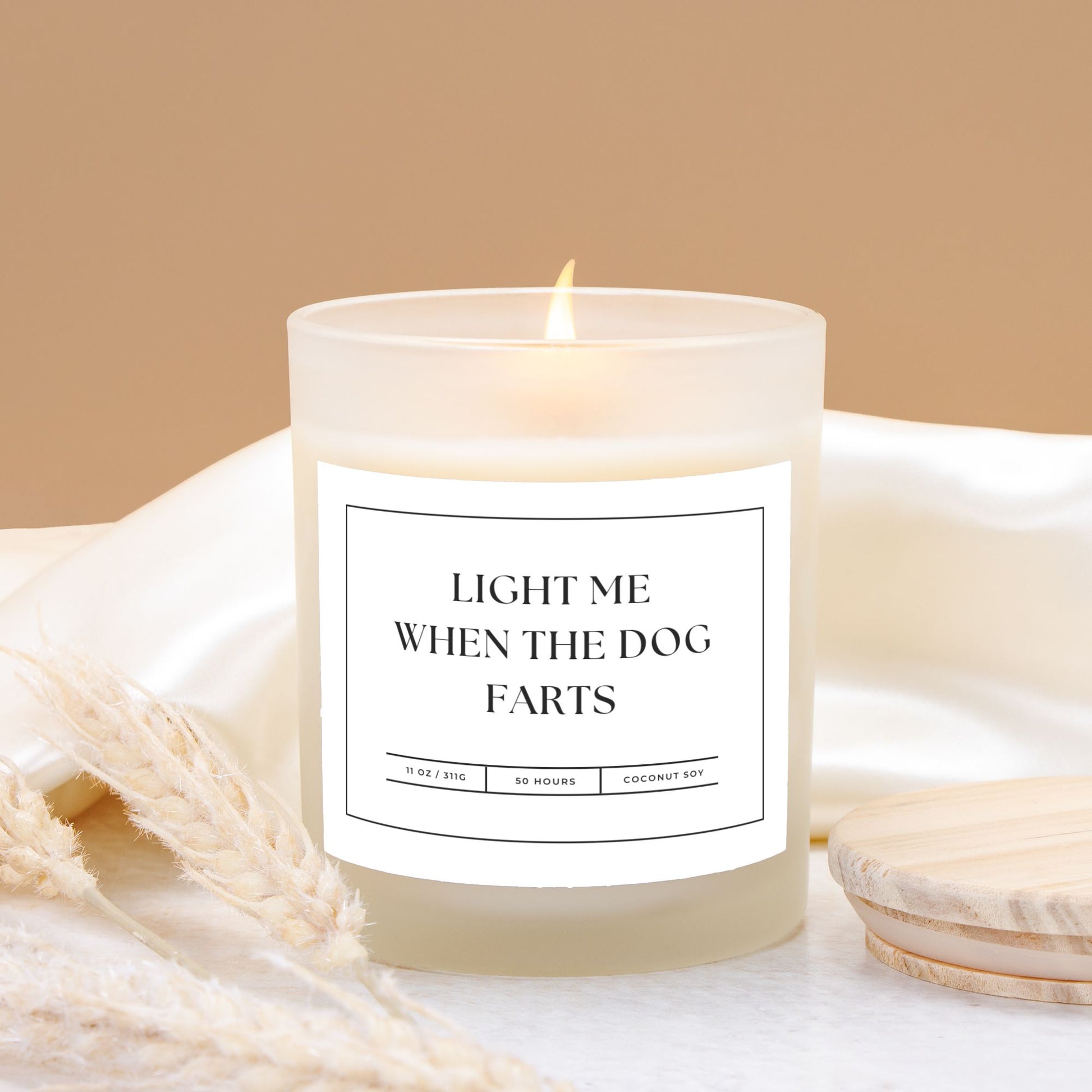 Light Me When the Dog Farts coconut soy candle in frosted glass, funny odor neutralizing candle.