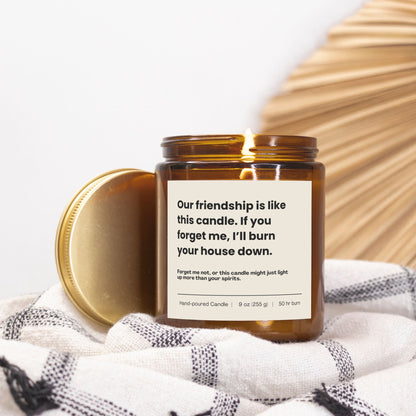 Amber jar friendship candle with funny quote, hand-poured soy wax, perfect humorous gift.