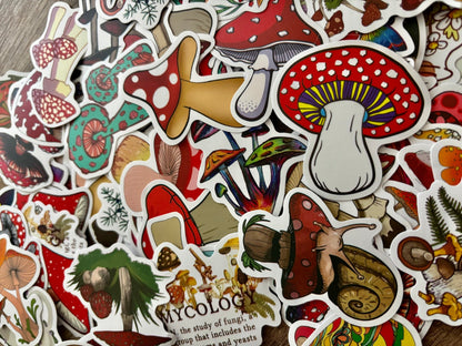 Colorful mushroom stickers with woodland aesthetic and cottagecore vibes.