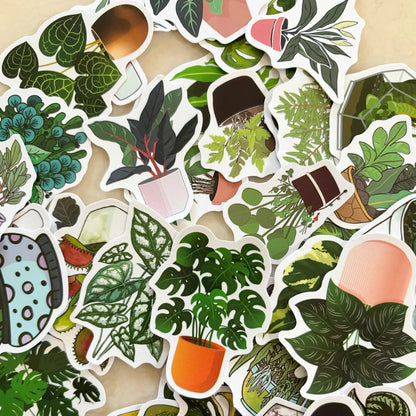 Indoor plant vinyl stickers, perfect for plant lovers, 3 sticker counts, ideal decor.