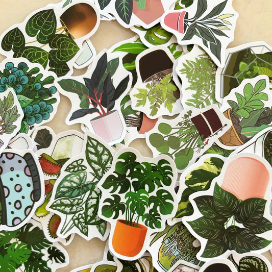 Indoor plant vinyl stickers, perfect for plant lovers, 3 sticker counts, ideal decor.