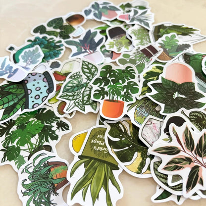 Indoor plant vinyl stickers, perfect for plant lovers, 3 sticker counts, ideal decor.