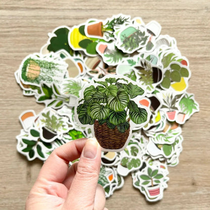 Indoor plant vinyl stickers, perfect for plant lovers, 3 sticker counts, ideal decor.