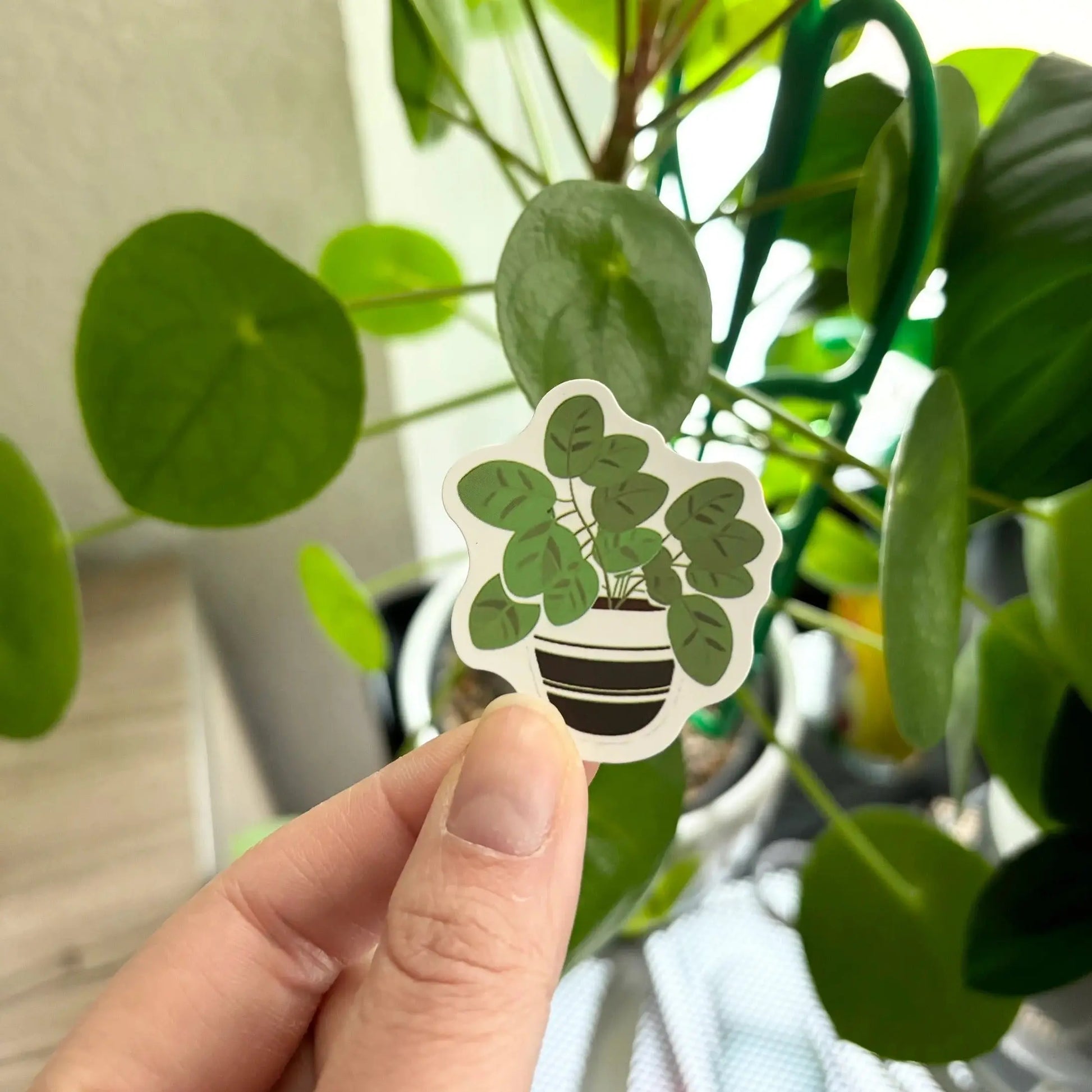 Indoor plant vinyl stickers, perfect for plant lovers, 3 sticker counts, ideal decor.