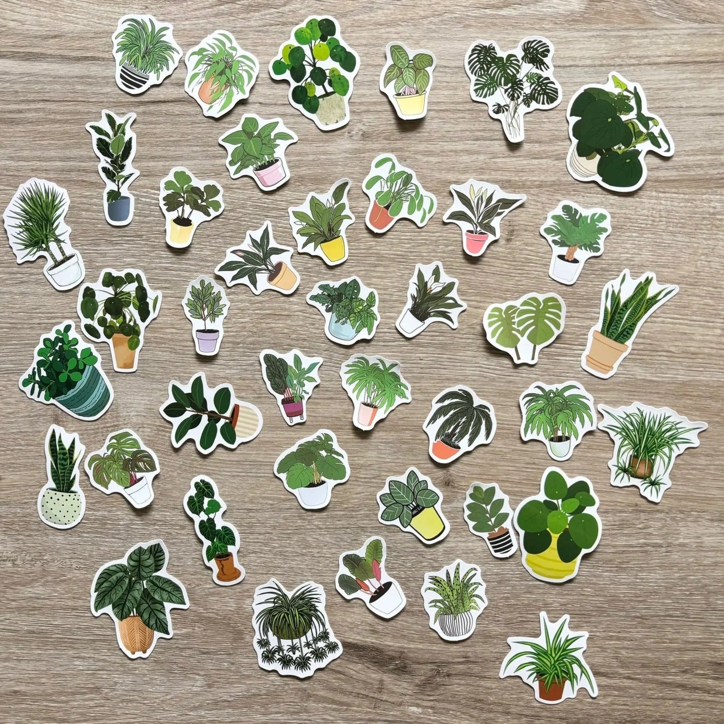 Indoor plant vinyl stickers, perfect for plant lovers, 3 sticker counts, ideal decor.