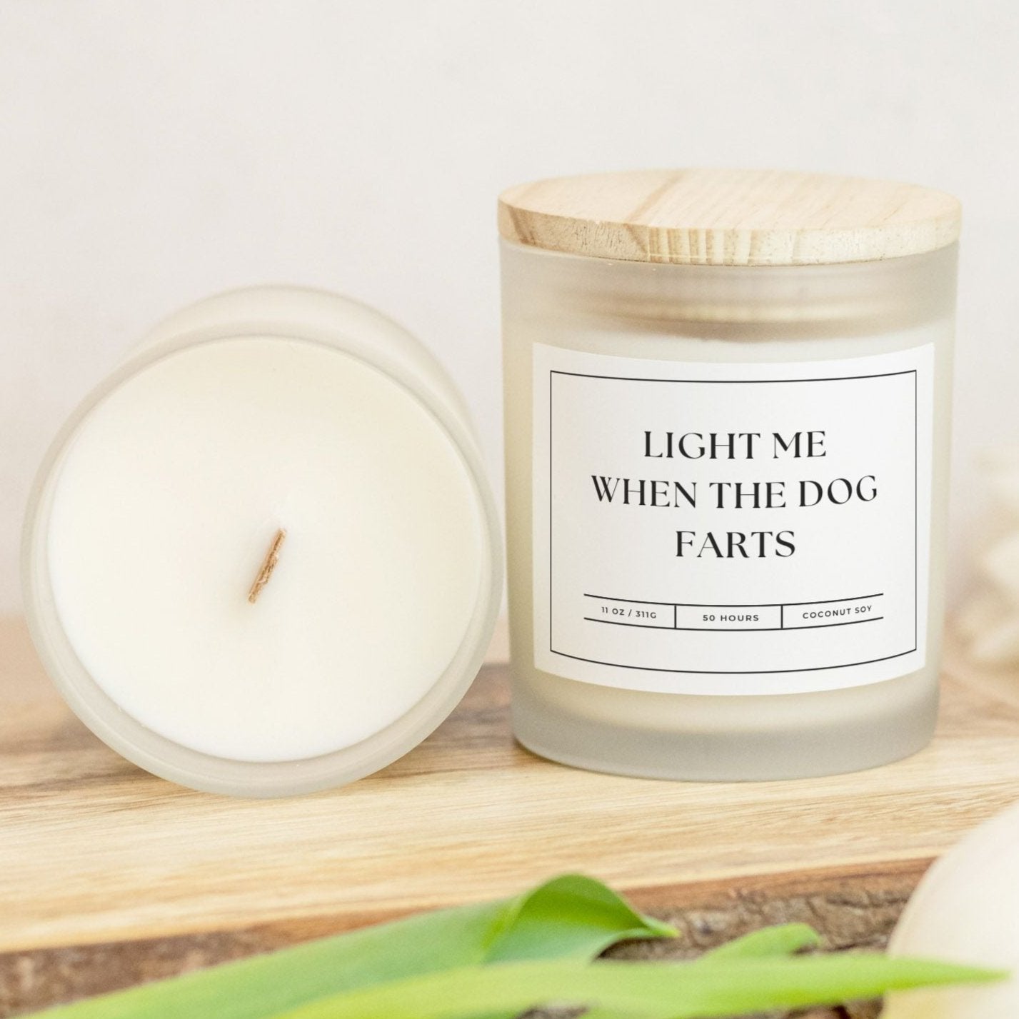 Light Me When the Dog Farts coconut soy candle in frosted glass, funny odor neutralizing candle.